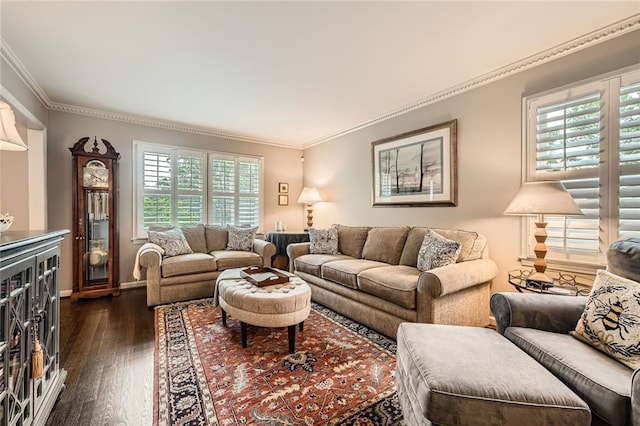 2917 Townley Cir, Atlanta, GA 30340 - living room featuring crown molding, dark wood-type flooring, and baseboards