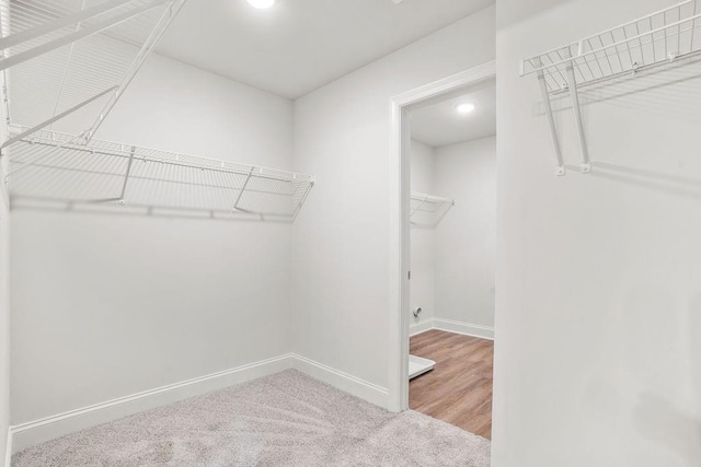 walk in closet featuring wood-type flooring