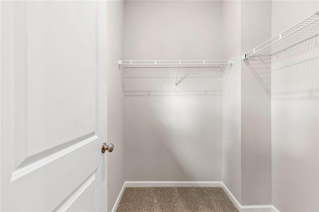 1954 Summit Trace Cir NW, Atlanta, GA 30318 - walk in closet featuring carpet floors