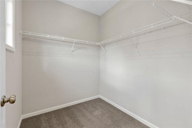 1954 Summit Trace Cir NW, Atlanta, GA 30318 - spacious closet featuring carpet floors