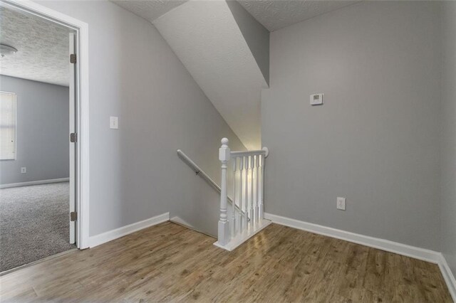 walk in closet featuring carpet flooring