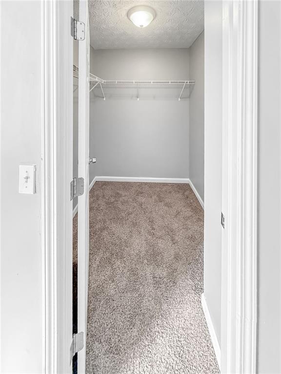 unfurnished bedroom featuring carpet flooring, a walk in closet, a closet, and a textured ceiling