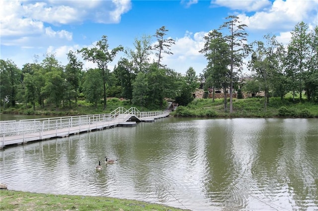 7927 Keepsake Ln, Flowery Branch, GA 30542 - water view featuring a floating dock