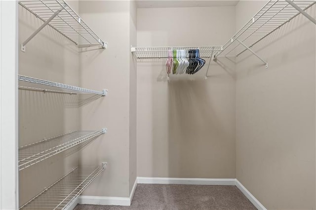 971 Reap Ln, Lawrenceville, GA 30043 - view of walk in closet
