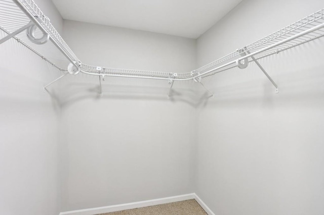 6249 Townsend Way, Riverdale, GA 30296 - spacious closet with carpet