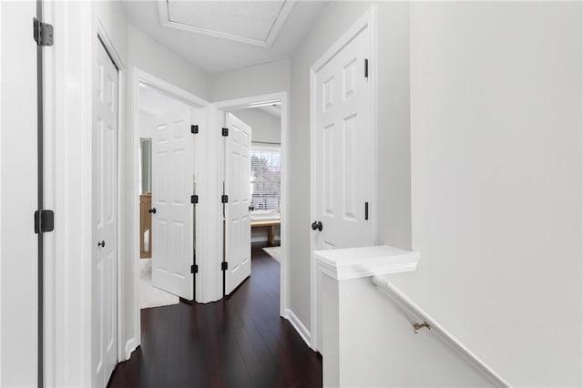 hallway featuring dark wood finished floors and attic access