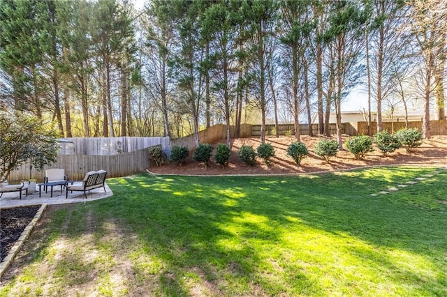 view of yard featuring a patio area and a fenced backyard