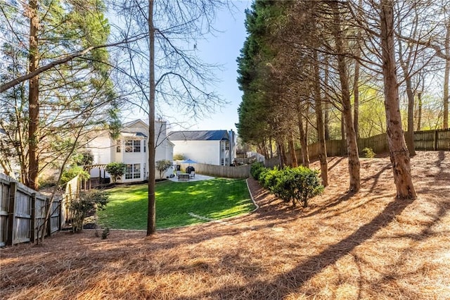 view of yard with a patio area and a fenced backyard