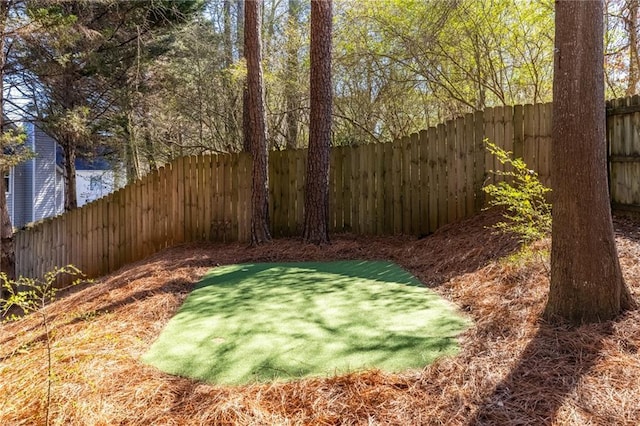 view of yard featuring a fenced backyard