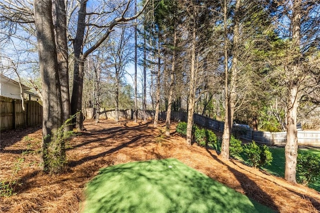 view of yard with a fenced backyard