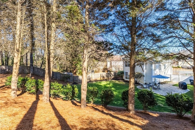 view of yard with a patio and a fenced backyard