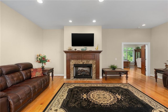 living room with a premium fireplace and light wood-type flooring