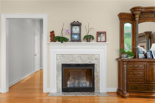 details with wood-type flooring and a premium fireplace