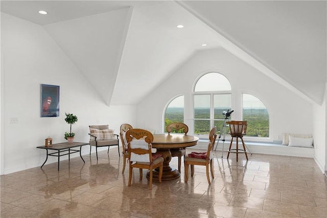 dining space featuring high vaulted ceiling