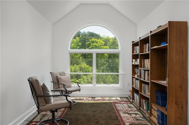 living area with vaulted ceiling