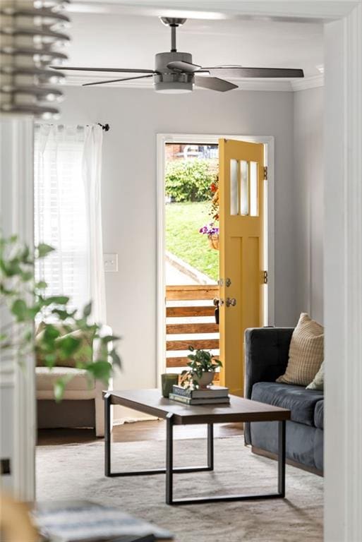 entryway with ceiling fan, ornamental molding, wood finished floors, and a wealth of natural light