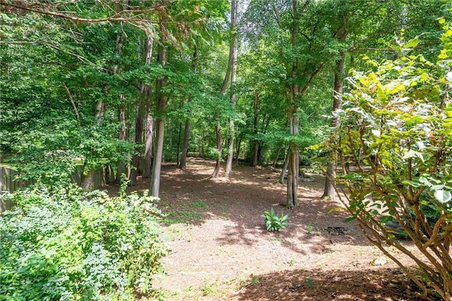 1558 Amberwood Creek Dr NW, Kennesaw, GA 30152 - view of nature