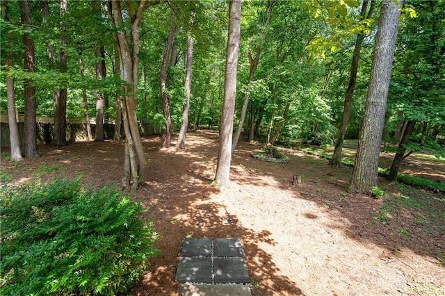 1558 Amberwood Creek Dr NW, Kennesaw, GA 30152 - view of yard
