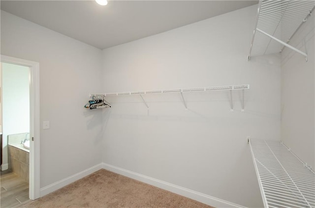 spacious closet with light colored carpet