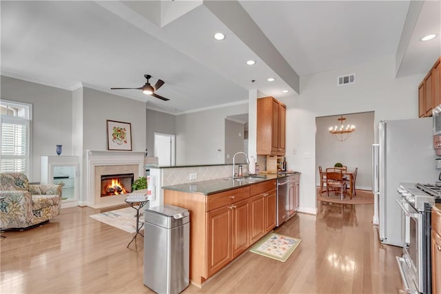 kitchen with a high end fireplace, ceiling fan with notable chandelier, appliances with stainless steel finishes, ornamental molding, and sink