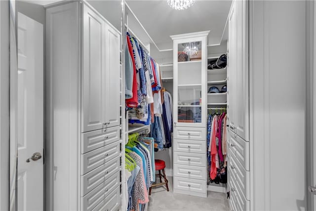 view of walk in closet