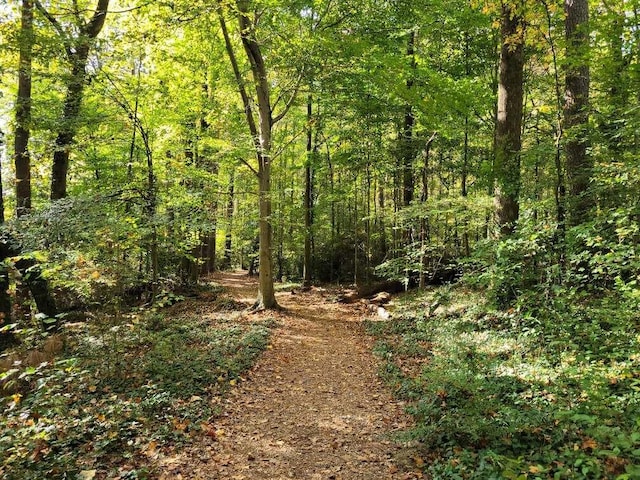 view of landscape