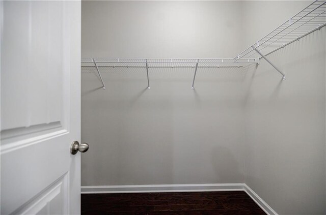 walk in closet featuring dark wood finished floors