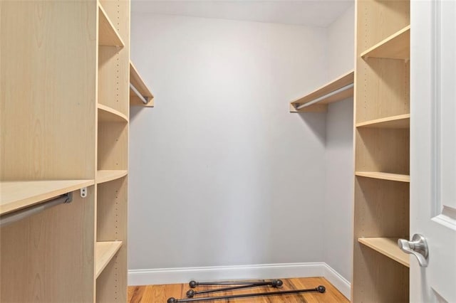 walk in closet with wood-type flooring