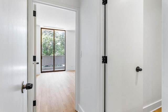 hallway featuring floor to ceiling windows, wood finished floors, and baseboards