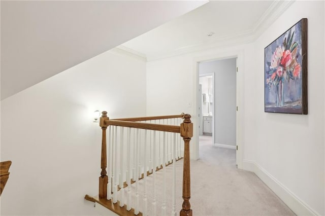 stairway with ornamental molding and carpet floors