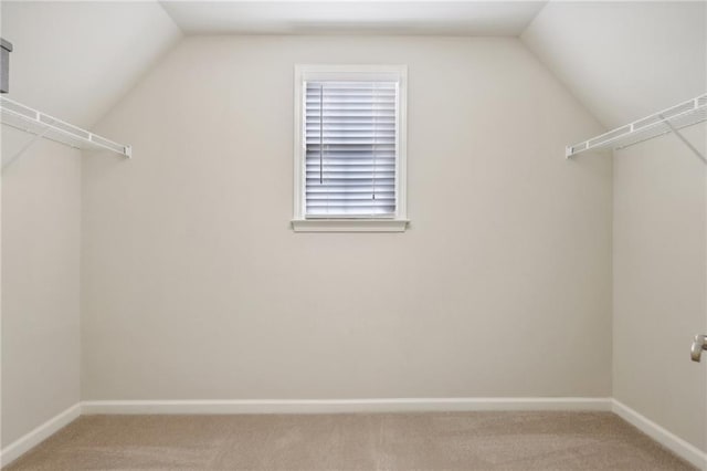 spacious closet featuring carpet and lofted ceiling