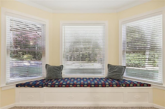 unfurnished room with ornamental molding, carpet, and a wealth of natural light