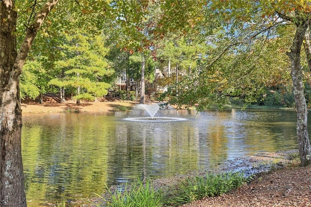 view of water feature