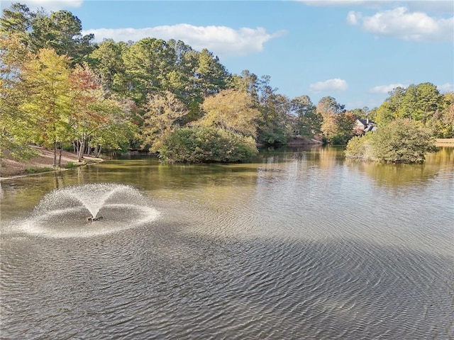 view of water feature