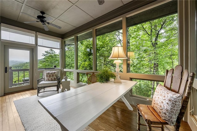 295 Goble Gap Ln, Clayton, GA 30525 - sunroom / solarium featuring a ceiling fan