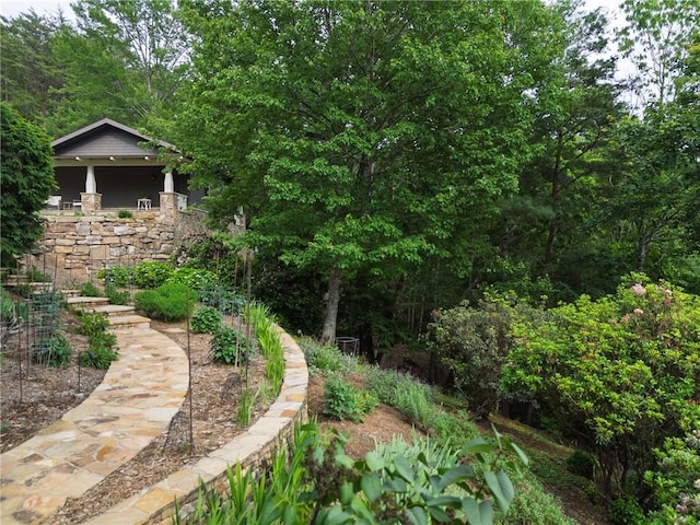 view of yard