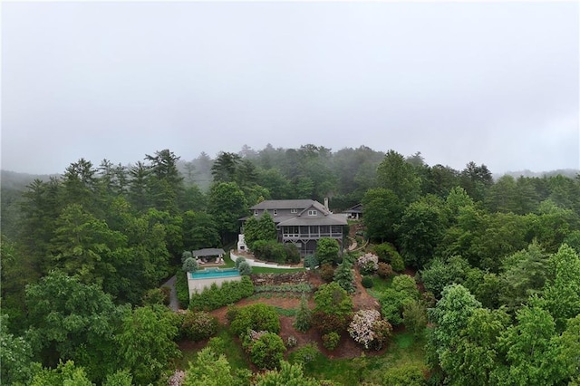 295 Goble Gap Ln, Clayton, GA 30525 - view of subject property with a forest