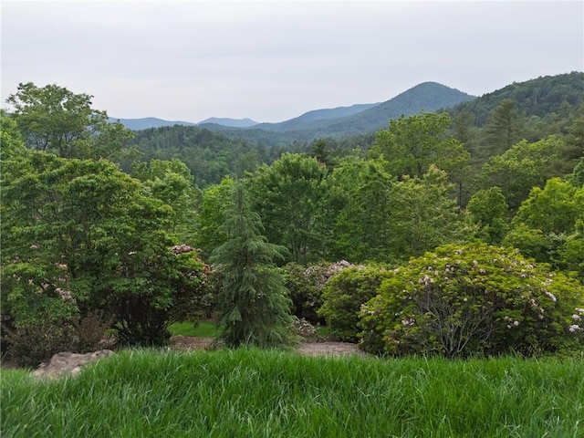 view of mountain backdrop featuring a forest