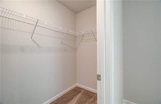 20 Fayme Ct, Newnan, GA 30263 - walk in closet featuring carpet flooring