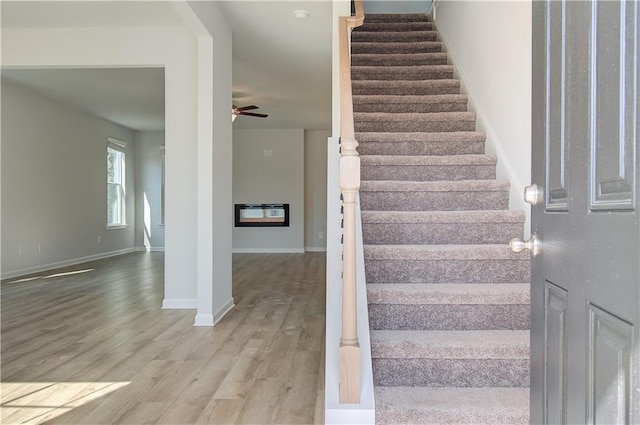 20 Fayme Ct, Newnan, GA 30263 - stairway featuring wood finished floors, a ceiling fan, and baseboards
