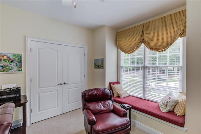 living area featuring carpet