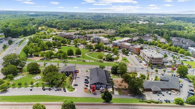 189 Azalea Chase Dr, Suwanee, GA 30024 - drone / aerial view