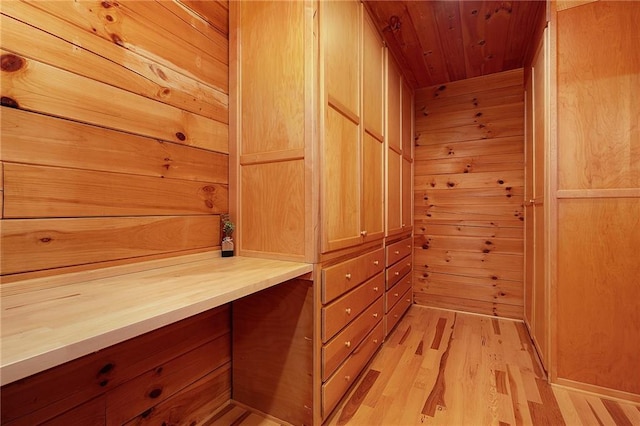 walk in closet with light hardwood / wood-style floors