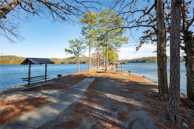 dock area with a water view