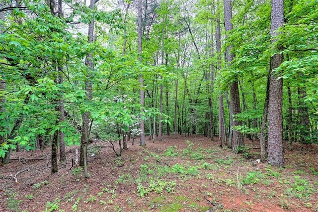 521 Crabapple Rd, Clarkesville, GA 30523 - view of wooded area