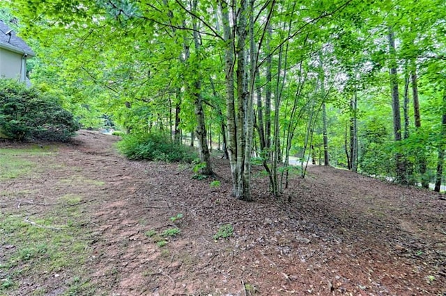 521 Crabapple Rd, Clarkesville, GA 30523 - view of wooded area