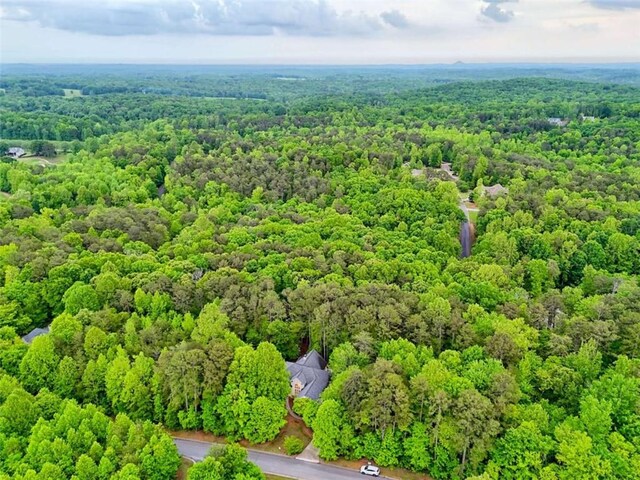 521 Crabapple Rd, Clarkesville, GA 30523 - bird's eye view of a heavily wooded area