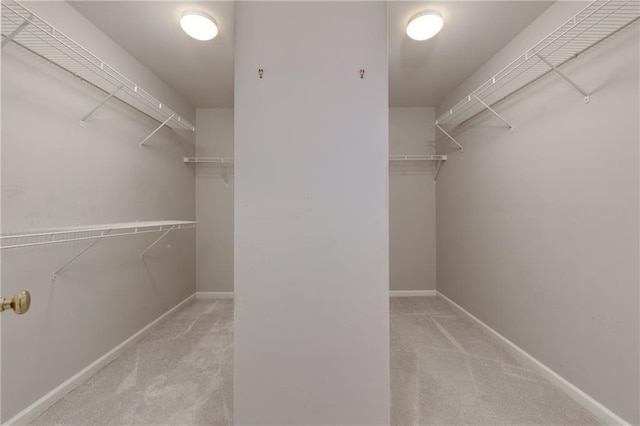 walk in closet with carpet floors