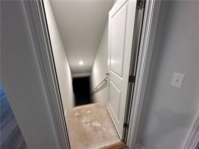 hallway featuring dark wood-type flooring