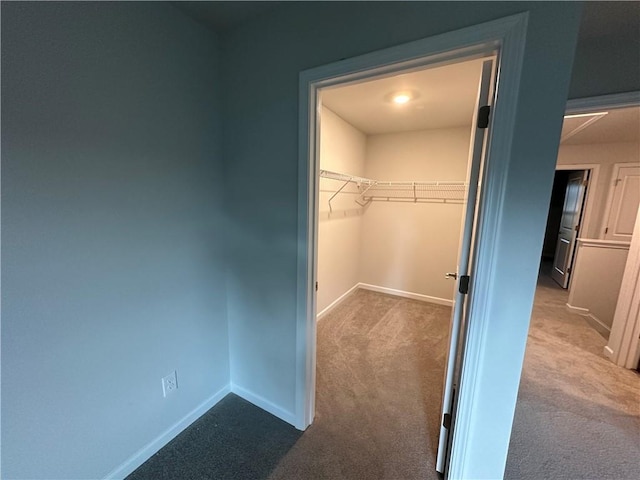 walk in closet with carpet flooring